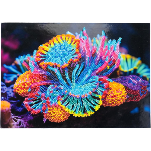 NICE - DIAMANTINY LEVEL UP ANEMONE