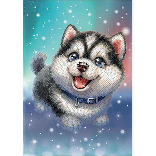 NICE - DIAMANTINY LEVEL UP HUSKY