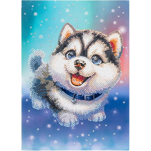 NICE - DIAMANTINY LEVEL UP HUSKY