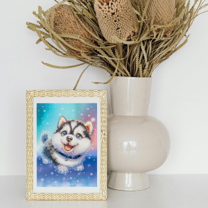 NICE - DIAMANTINY LEVEL UP HUSKY