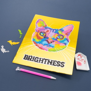 NICE - DIAMANTINY LEVEL UP POP CAT