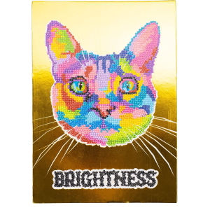 NICE - DIAMANTINY LEVEL UP POP CAT