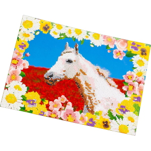 NICE - DIAMANTINY LEVEL UP WILD WHITE HORSE