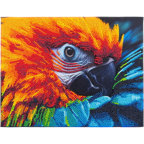 NICE - DIAMANTINY QUADRO ARA
