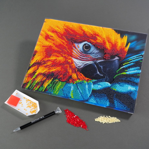 NICE - DIAMANTINY QUADRO ARA