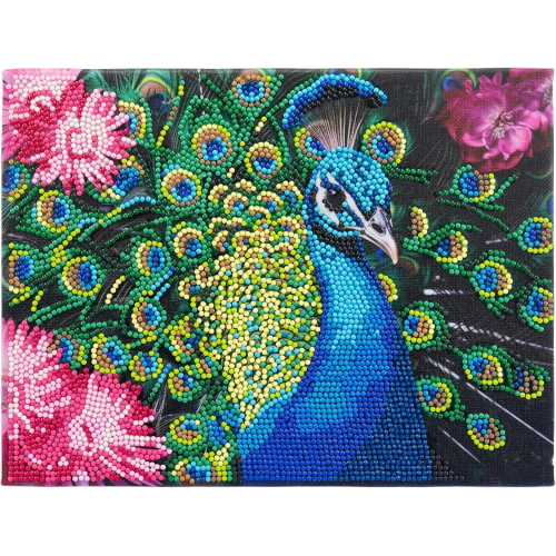 NICE - DIAMANTINY QUADRO PAVONE