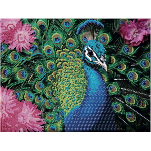 NICE - DIAMANTINY QUADRO PAVONE