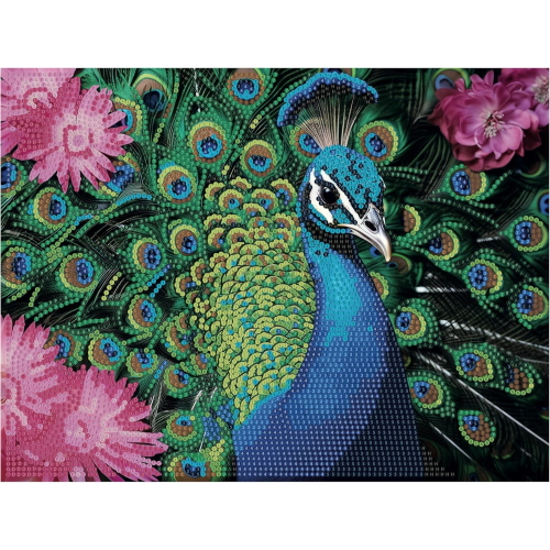 NICE - DIAMANTINY QUADRO PAVONE