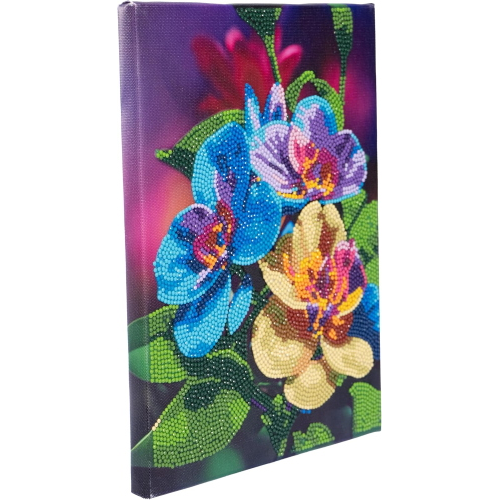 NICE - DIAMANTINY QUADRO ORCHIDEA