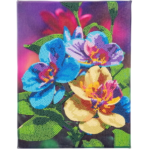 NICE - DIAMANTINY QUADRO ORCHIDEA