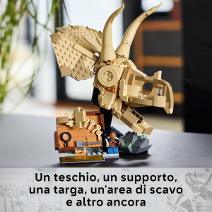 JW- FOSSILI DI DINOSAURO