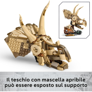JW- FOSSILI DI DINOSAURO