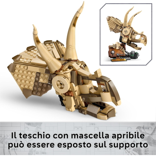 JW- FOSSILI DI DINOSAURO
