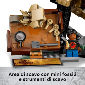 JW- FOSSILI DI DINOSAURO