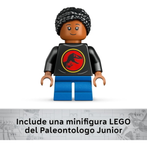 JW- FOSSILI DI DINOSAURO