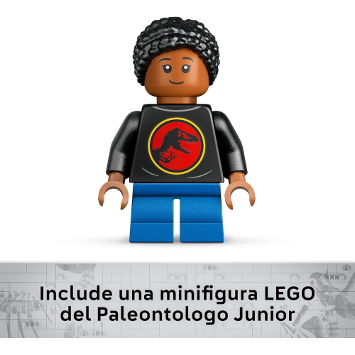 JW- FOSSILI DI DINOSAURO