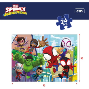 PZL 24 MAXI SPIDEY