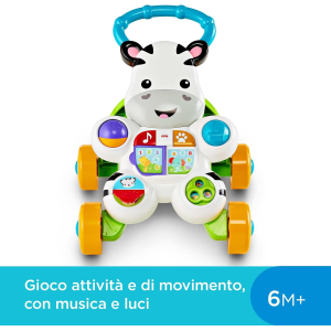 P.PASSI - FP - ZEBRA