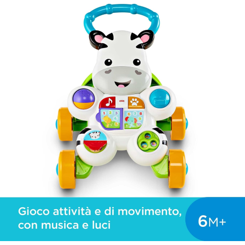 P.PASSI - FP - ZEBRA