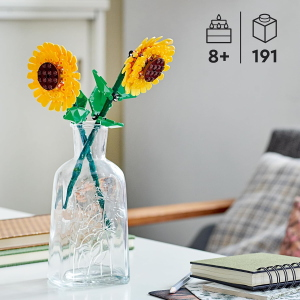 LEGO - F. GIRASOLI