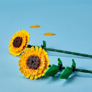 LEGO - F. GIRASOLI