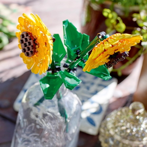 LEGO - F. GIRASOLI