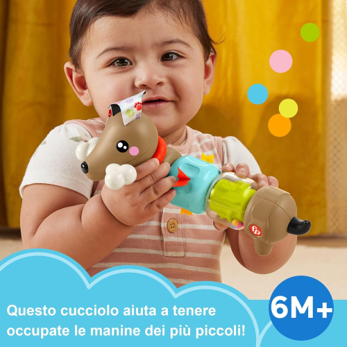 FP - BASSOTTO GIRA E GIOCA