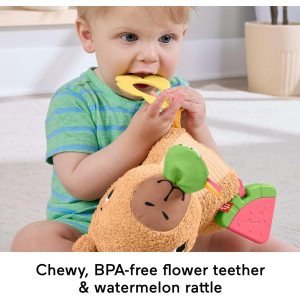 FP - MARMOTTA COCCOLE E MERENDE