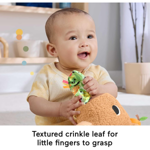 FP - MARMOTTA COCCOLE E MERENDE