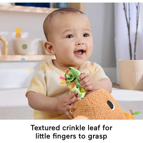 FP - MARMOTTA COCCOLE E MERENDE