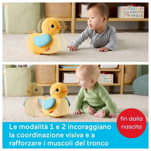 FP- PAPERELLA COCCOLE & GATTONA 