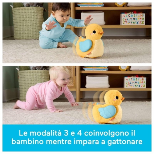 FP- PAPERELLA COCCOLE & GATTONA 