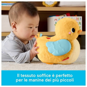 FP- PAPERELLA COCCOLE & GATTONA 