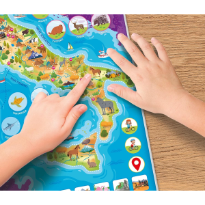 SAP - QUADRO MAGNETICO ITALIA