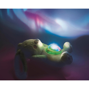 B.CLEM- FIOCCO IL MIO PROIETTORE D'AURORA BOREALE