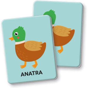 SAP- MTSS- CARD PRIMO MEMO