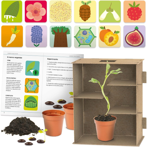 $ HEADU - LABIRINTO DELLE PIANTE