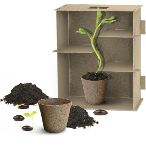 $ HEADU - LABIRINTO DELLE PIANTE