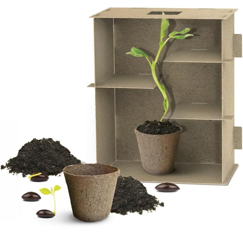 $ HEADU - LABIRINTO DELLE PIANTE