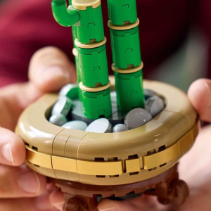 BOTANICALS- BAMBU' DEL BUON AUSPICIO