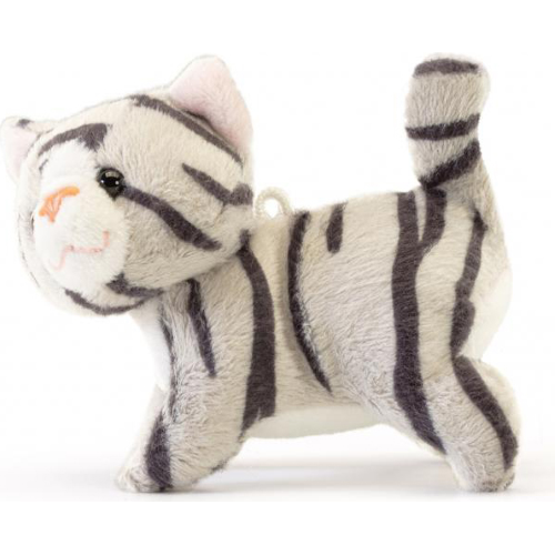 PEL.- SW GATTINO BIANCO