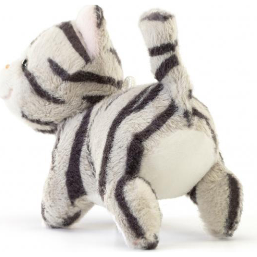 PEL.- SW GATTINO BIANCO