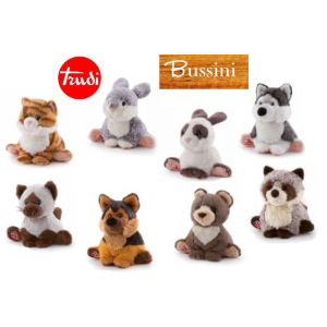 PEL.- BUSSINI - GATTO SIAMESE