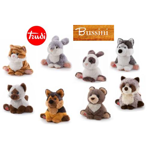 PEL.- BUSSINI - GATTO SIAMESE