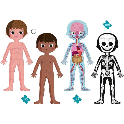 PUZZLE EDUCATIVO IL CORPO UMANO