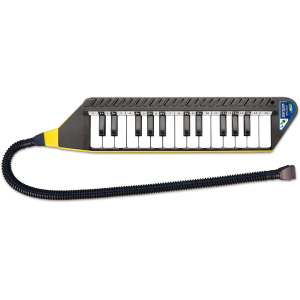 CLAVIETTA 25 T C/VALIGETTA