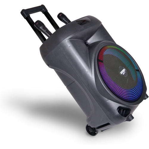 CASSA AMPLIF. WIRELESS DINAMICO TROLLEY 2 MICROFONI