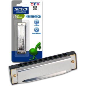 ARMONICA METALLICA 10 NOTE