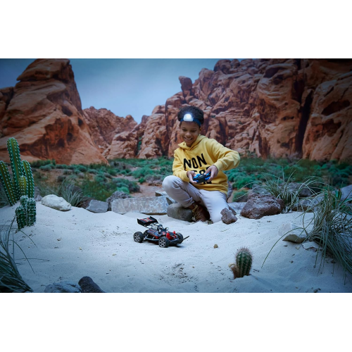 $ R/C - NIKKO RACE BUGGIES TURBO PANTHER