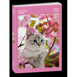 DIARIO AG. - SEVEN 10M DATATO COLOUR CODE ANIMAL SNAPSHOT